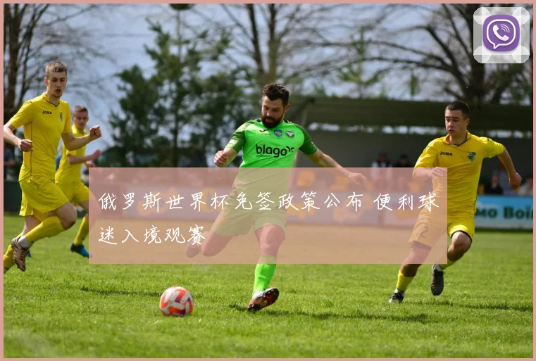 俄罗斯世界杯免签政策公布 便利球迷入境观赛
