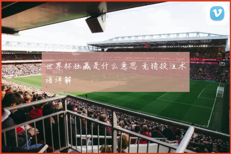 世界杯独赢是什么意思 竞猜投注术语详解