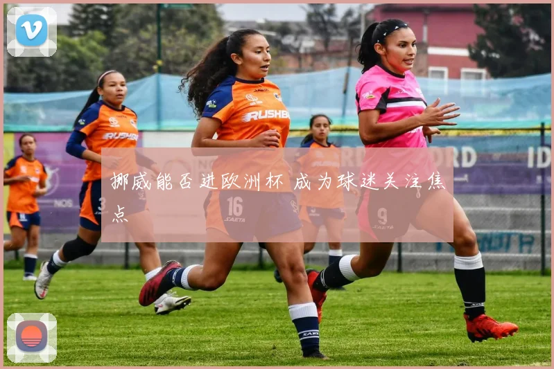 挪威能否进欧洲杯 成为球迷关注焦点