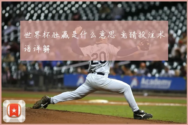 世界杯独赢是什么意思 竞猜投注术语详解